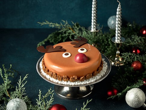 Reindeer Cake