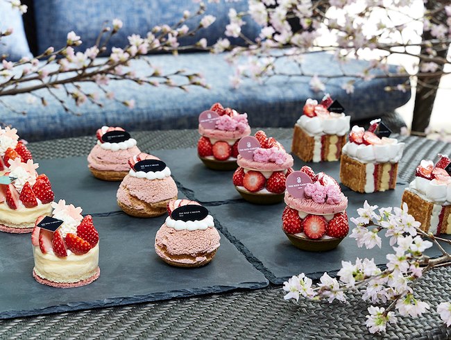 Sakura Cake Collection